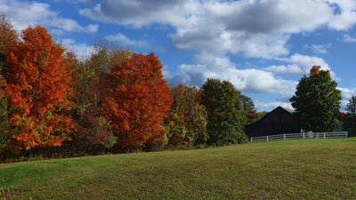 2015 Fall Foilage HDR DSC03672.jpg