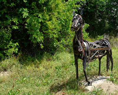 2015 RX100 M3 Greenville, North Carolina Metal Sculptures