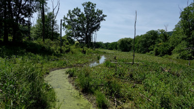 Brick Pond DSC06271_dphdr.jpg