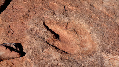 Tuba City, Arizona Dinosaur Tracks