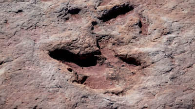 Tuba City, Arizona Dinosaur Tracks