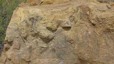 Poison Spyder, Utah Dinosaur Tracks