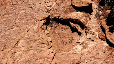 Copper Ridge, Utah Dinosaur Tracks