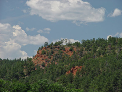 Custer State Park SD