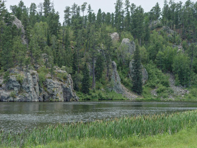 Custer State Park SD