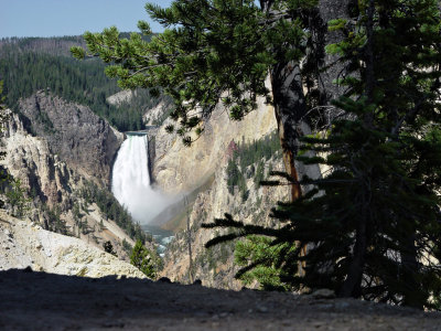 Yellowstone Wy