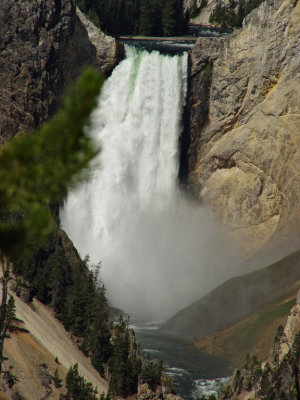 Yellowstone Wy