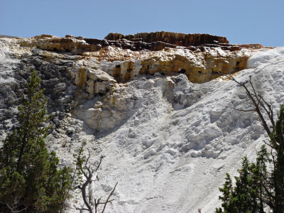Yellowstone Wy
