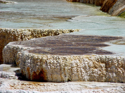 Yellowstone Wy