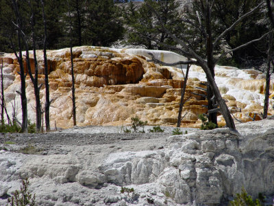 Yellowstone Wy