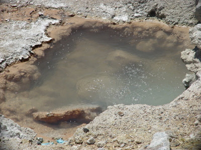 Yellowstone Wy