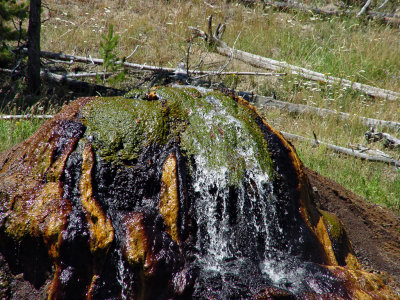 Yellowstone Wy
