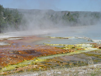 Yellowstone Wy