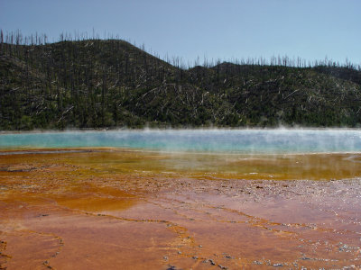 Yellowstone Wy