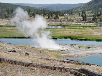Yellowstone Wy