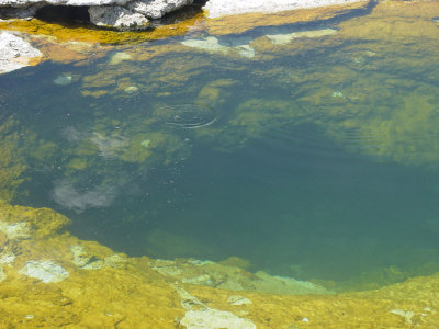 Yellowstone Wy