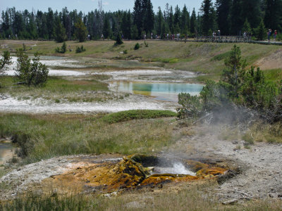 Yellowstone Wy