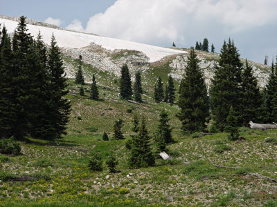 Medicine Bow Wy