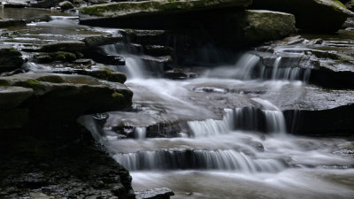 2016-06-29 Salt Springs St Park, PaVIDEO