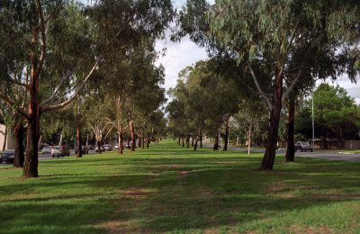 Northbourne Avenue, Canberra