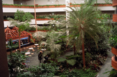 Pavilion on Northbourne, tropical interior 