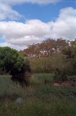 Hills and ponds2