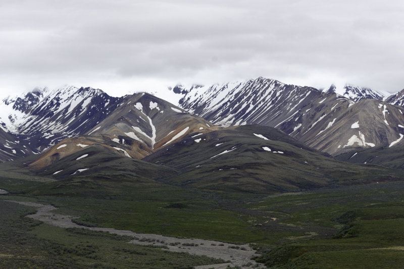 Denali-0095.jpg