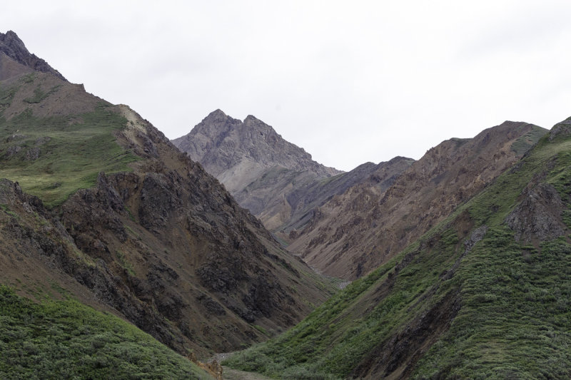 Denali-0137.jpg