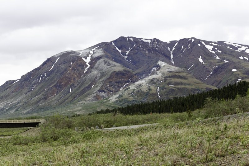 Denali-0143.jpg