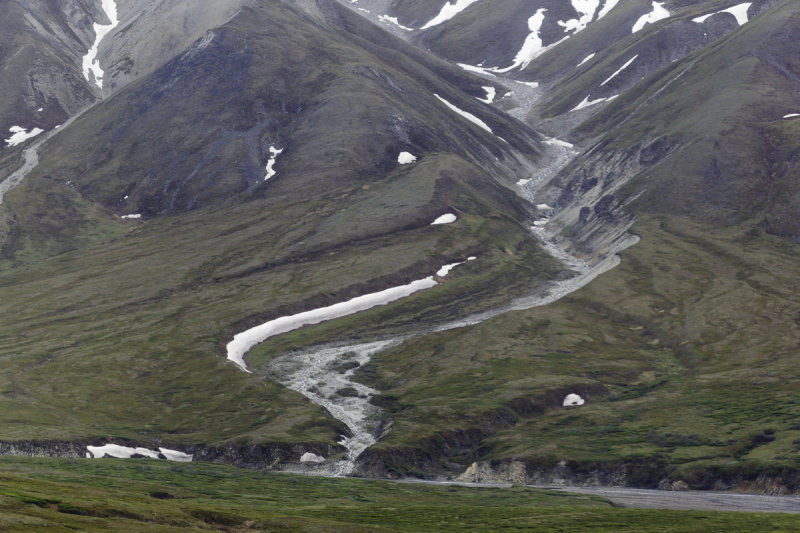 Denali-0204.jpg