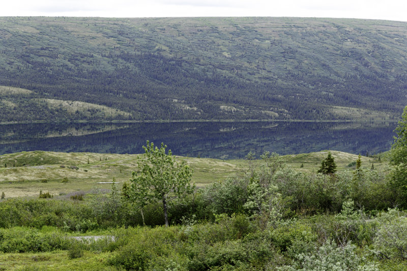 Denali-0262.jpg