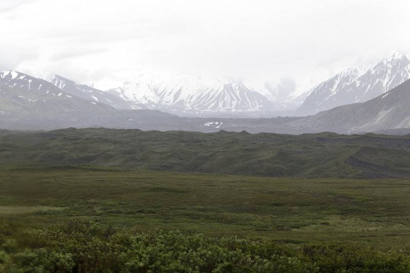Denali-0292.jpg