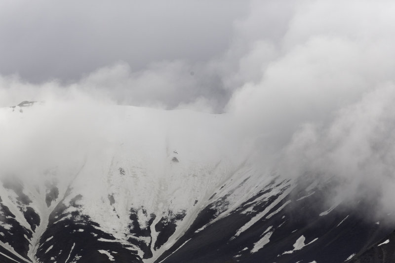 Denali-0320.jpg