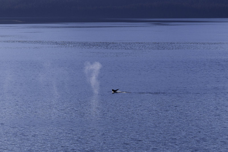 Hoonah-0684.jpg