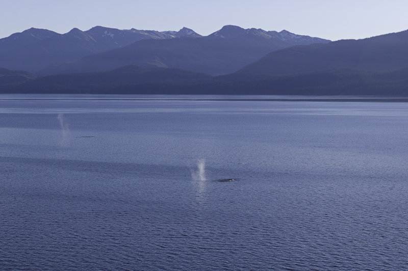 Hoonah-660.jpg