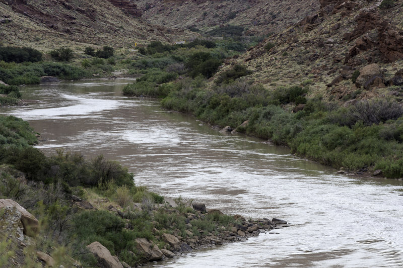 Colorado River-3783-3.jpg