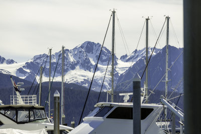 The Kenai Fjords National Park at Seward Alaska