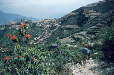 Near Namche Bazaar 1