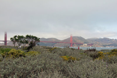 View to Golden Gate from the Crissy Field Marsh