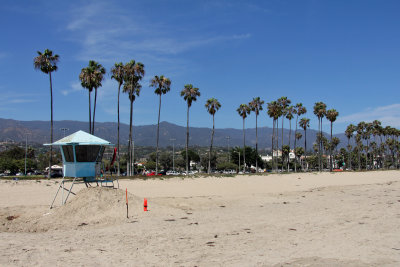 Palms at the Santa Barbara Beach