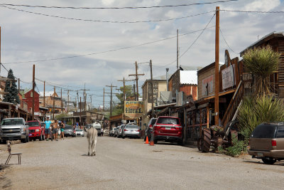 Oatman on Route 66 (1)