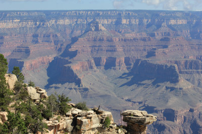 Grand Canyon from the south rim (3)