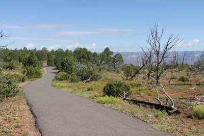 bike route along the south rim of Grand Canyon