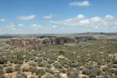 Little Colorado Canyons (2)