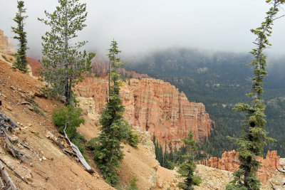 Bryce Canyon N.P. (2) - near Rainbow Point