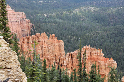 Bryce Canyon N.P. (3) - near Rainbow Point