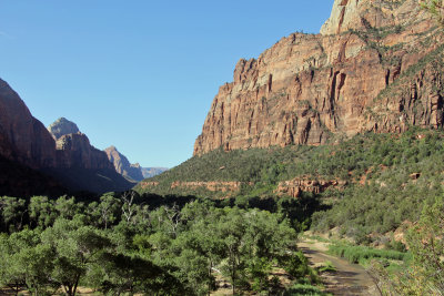 Zion N.P. (11) - Emerald Pool Trail