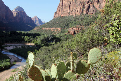 Zion N.P. (12) - Emerald Pool Trail