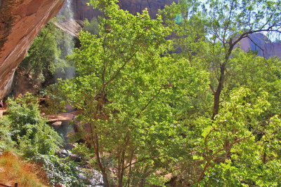 Zion N.P. (13) - Emerald Pool Trail