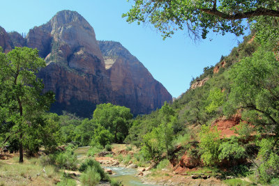 Zion N.P. (12) - near Zion Lodge